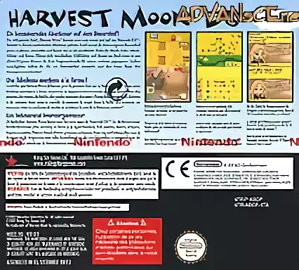 Image n° 2 - boxback : Harvest Moon DS